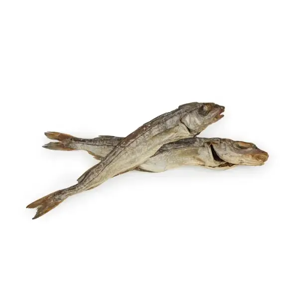 Eglefin – Mastication gourmande pour chiens
