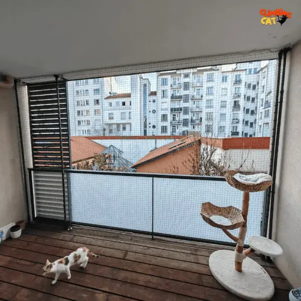 Protection pour chats sans percer – Balcon