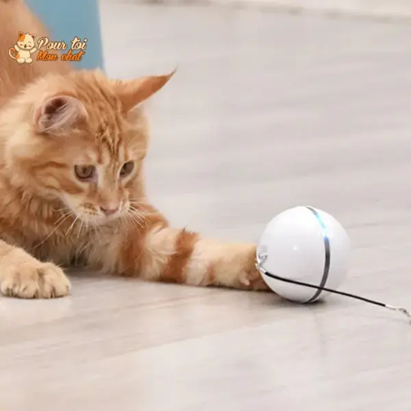 Balle Interactive pour Chat – RollChat™