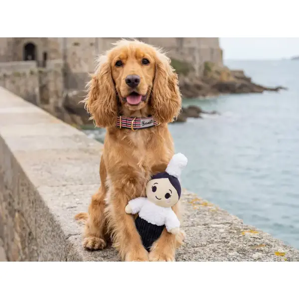 Jouet pour Chien Mam' Breizh – French Bandit