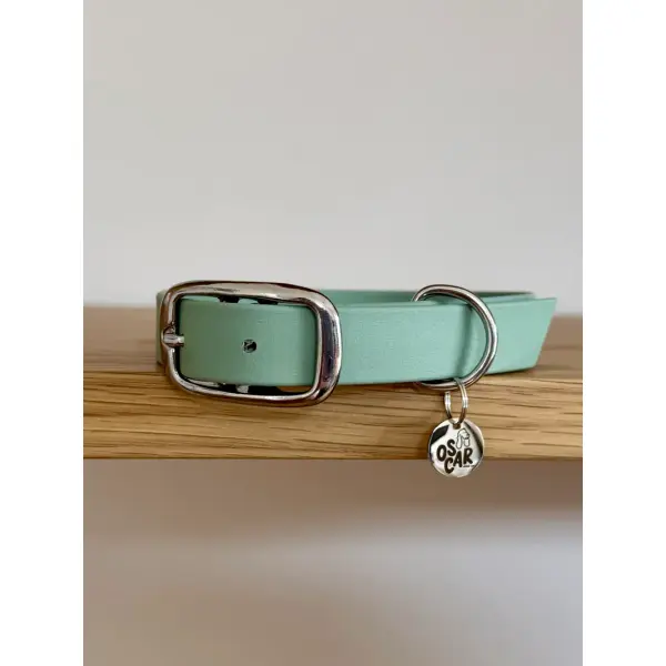 Collier biothane Sauge