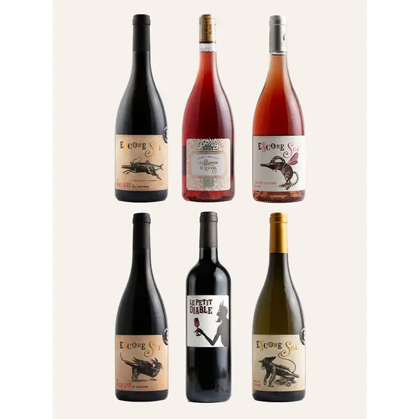 Box « Immersion Vignobles Chaigne & Fils » (6 bouteilles)