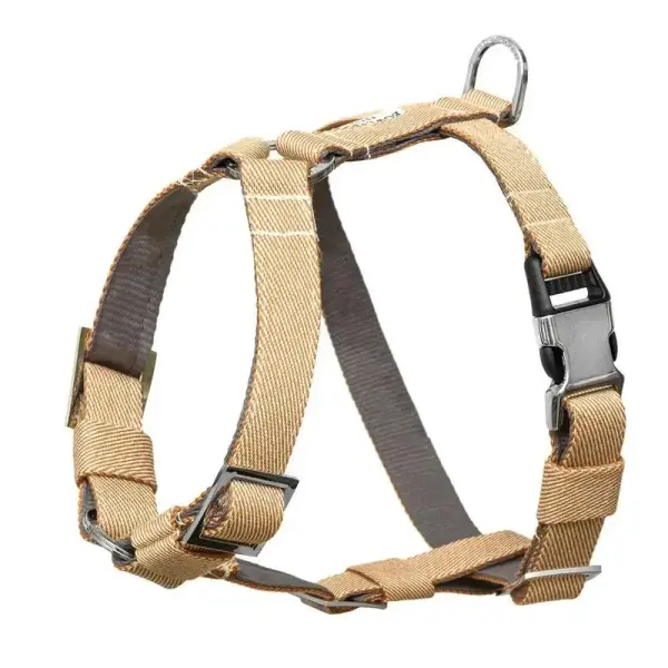 Ensemble de promenade pour chien – BREEZE