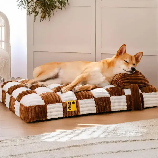 Coussin à mémoire de forme chien – confort orthopédique avec oreiller