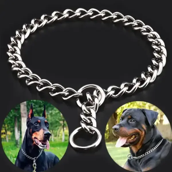 Collier chaîne chien – robustesse en acier inoxydable SteelLink