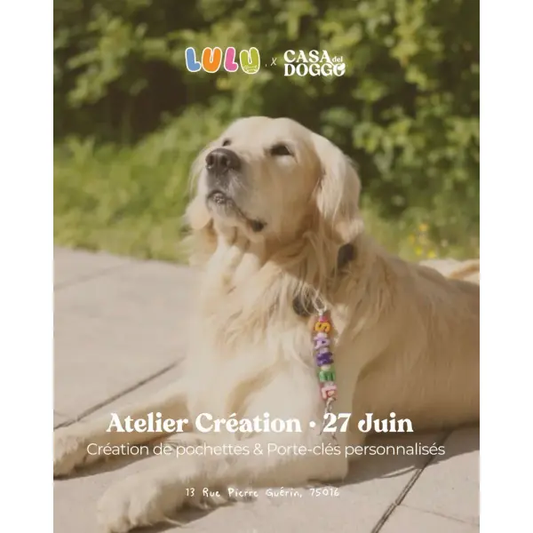 Atelier Création de Porte Sac à Caca