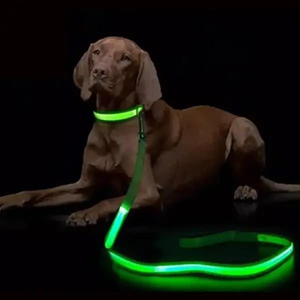 Laisse lumineuse chien GlowPaw™ – Sécurité et style la nuit