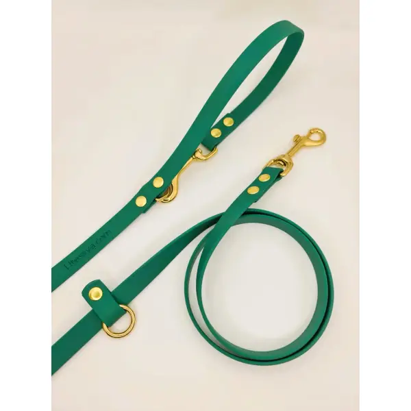 Laisse Multi-positions « Classik » Jade ★★★★★