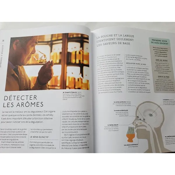 Whisky : Leçons de dégustation