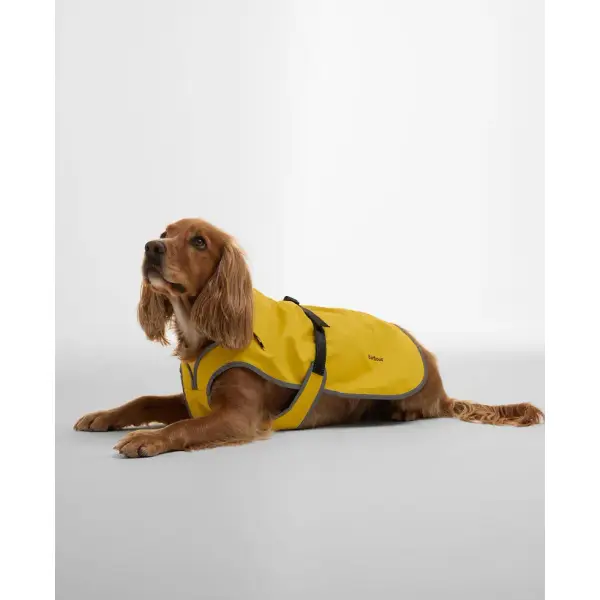 Barbour Manteau Waterproof Evie Limeade