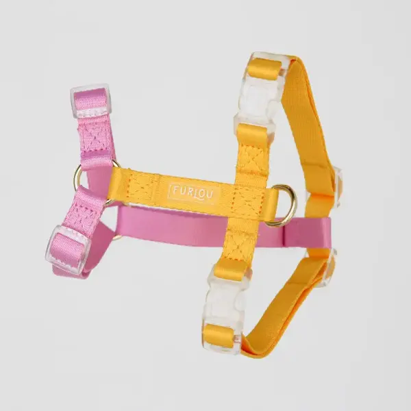 Harnais – Jaune et Rose