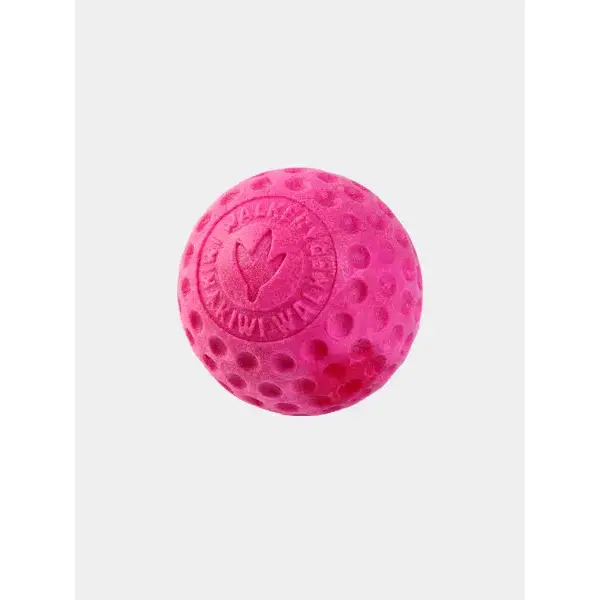 Balle pour chien en mousse haute densité – Rose