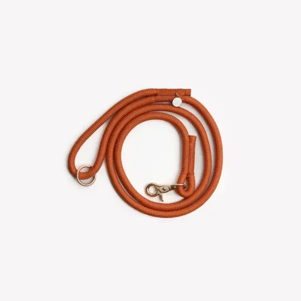 Laisse en nylon Terracotta