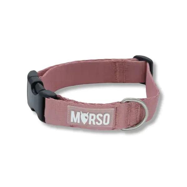 Collier chien recyclé MORSO® – Collection Solid Color