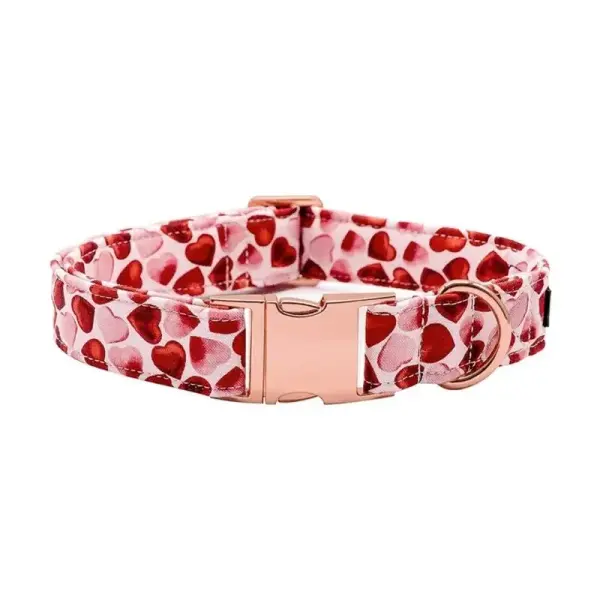 Collier Chien Personnalisé Coeurs