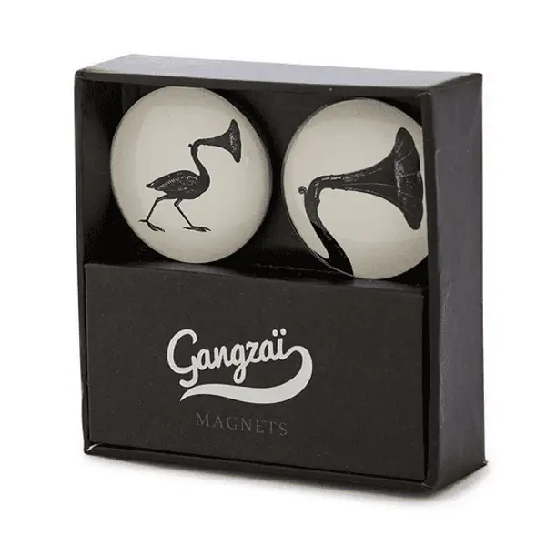 Magnets Cane à son