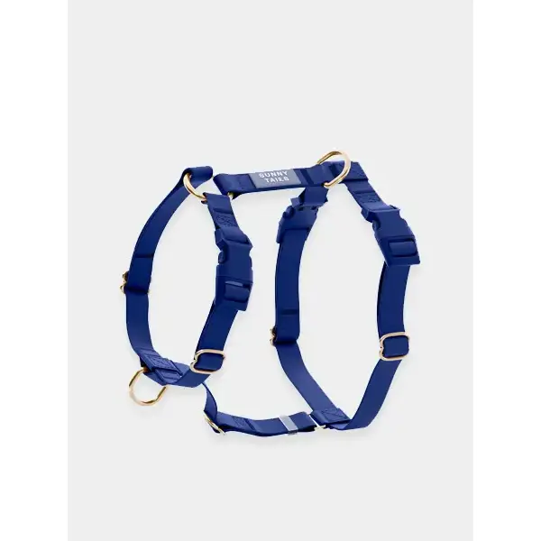 Harnais pour chien Cloud Lite – Bleu nuit – Shop Sunny Tails