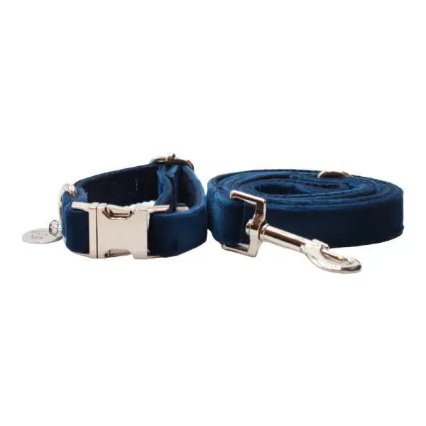 Collier laisse chien VELOURS MARINE