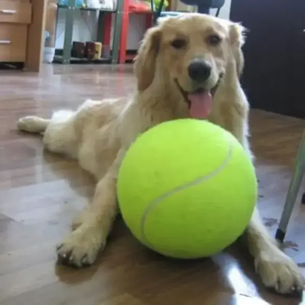 Balle géante pour chien – Jouet de mastication interactif et résistant