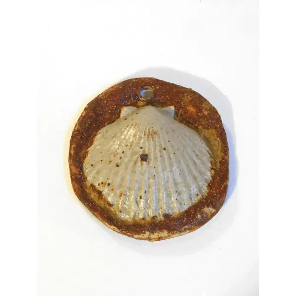 Coquille Saint Jacques bicolore