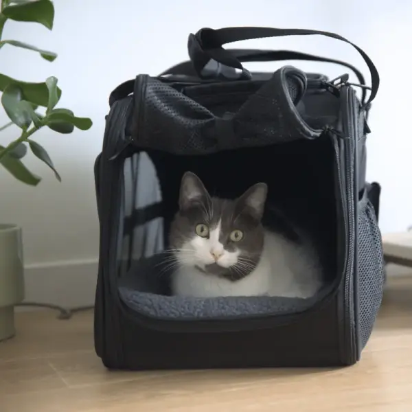 Sac de transport (Chat et Chien)