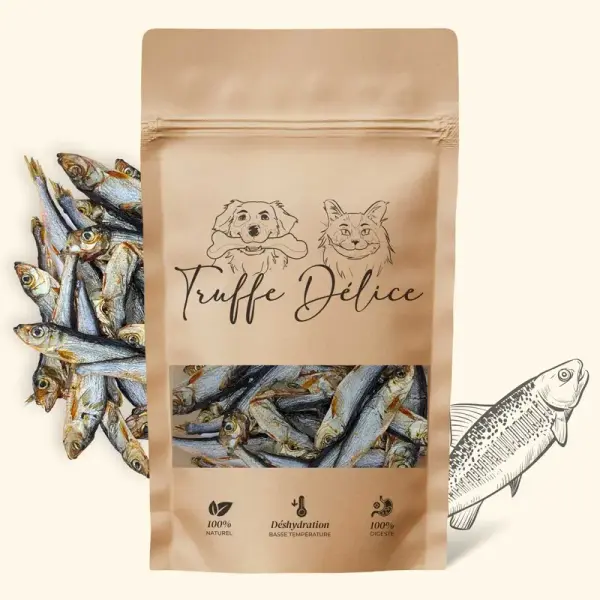 Sprats