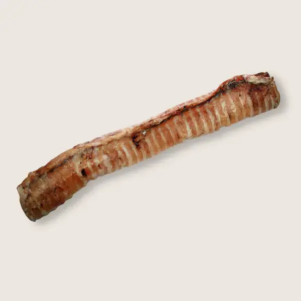 Trachées de bœuf XXL