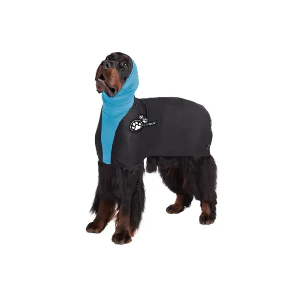 Show Tech+ Mesh Straightening Coat pour Setters Irlandais et Autres Gundogs