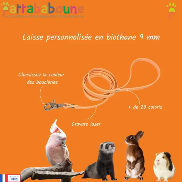 Laisse personnalisée en biothane 9 mm