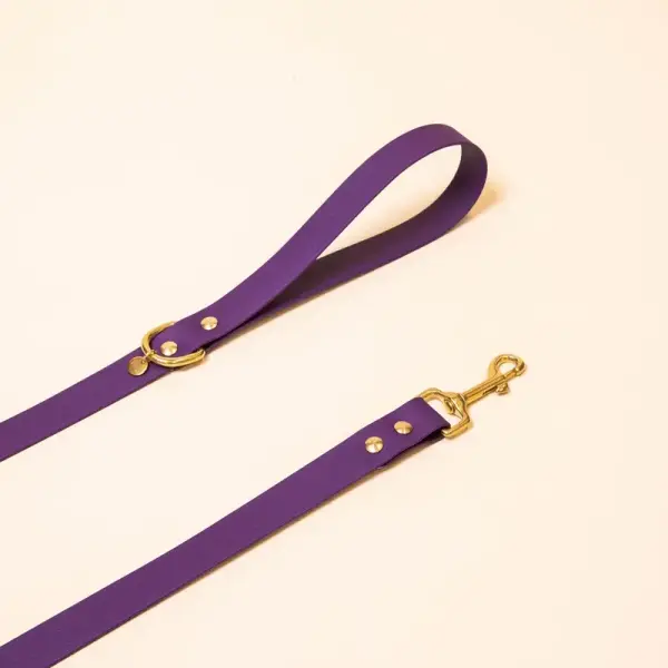 Laisse pour chien – Violet