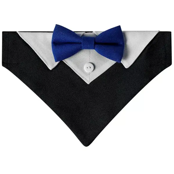 Collier costume chien