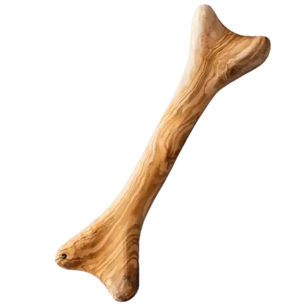 Bois d'olivier en forme d'os