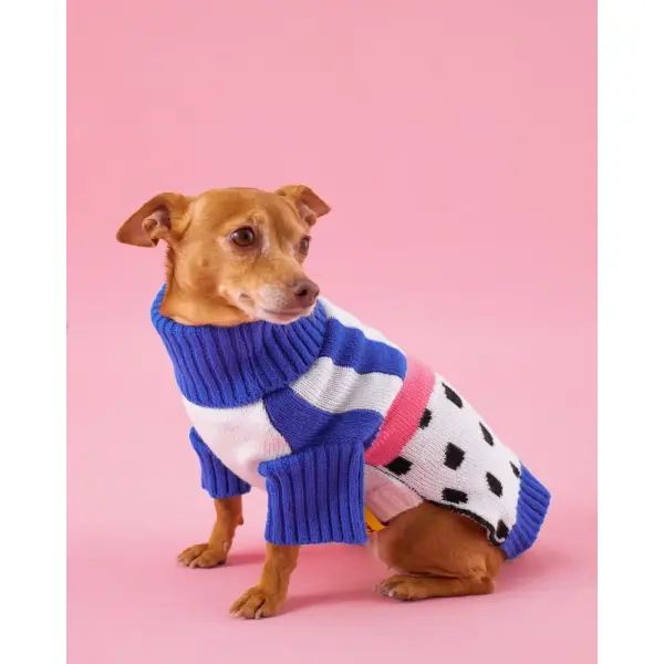 Pull Pitaya à pois