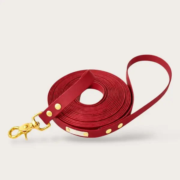 LONGE CHIEN EN BIOTHANE – ROUGE