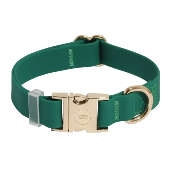 Collier chien vert – Imperméable