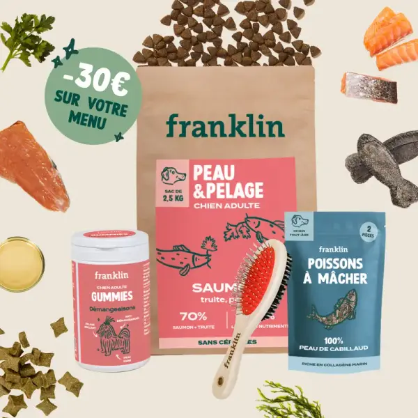 PACK PEAU SAINE POUR CHIEN