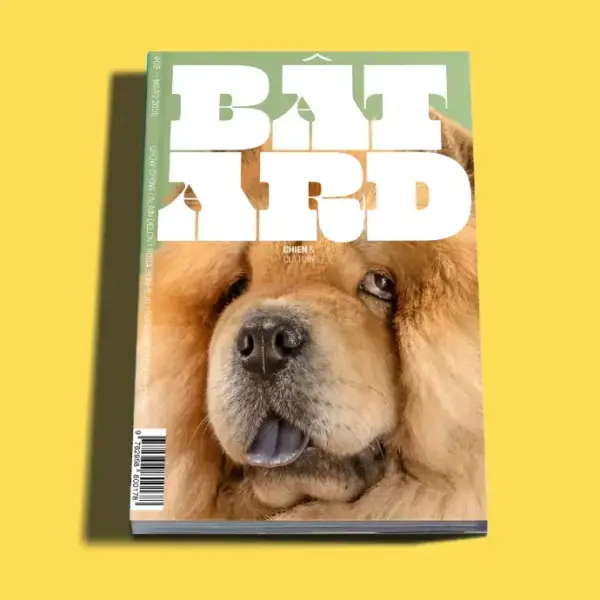 Magazine Bâtard #8