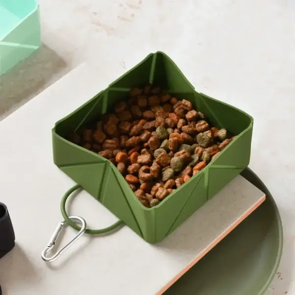 Bol de voyage pliable – Vert