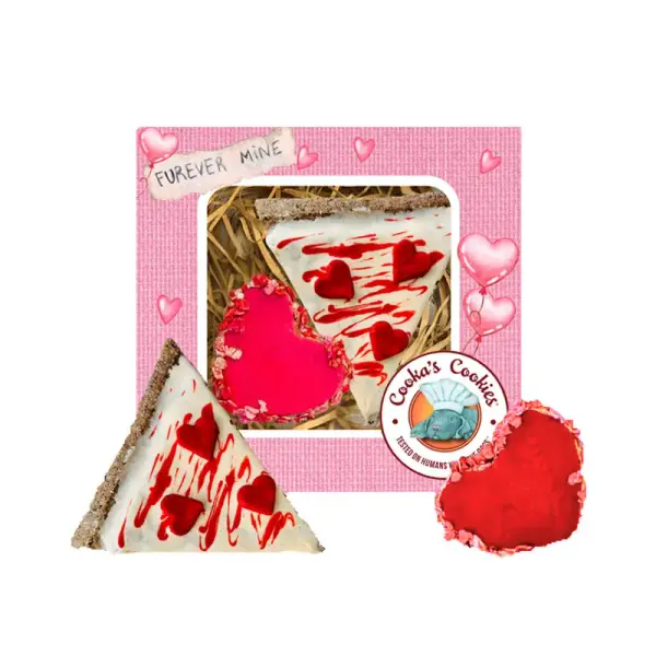 Coup de foudre gustatif – Cooka's Cookies