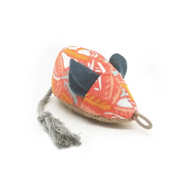 Souris orange