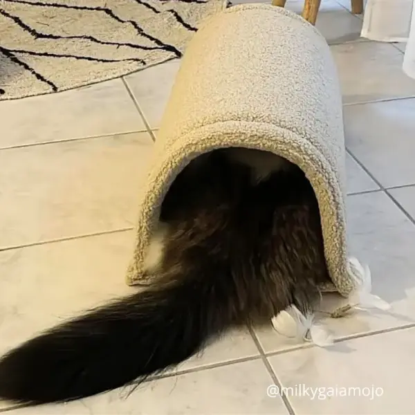 Tunnel imperméable – Moumoute