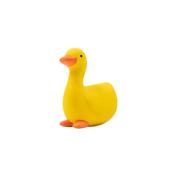 Le Canard en Latex