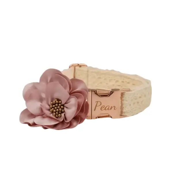 Collier Chien Personnalisé Dentelle