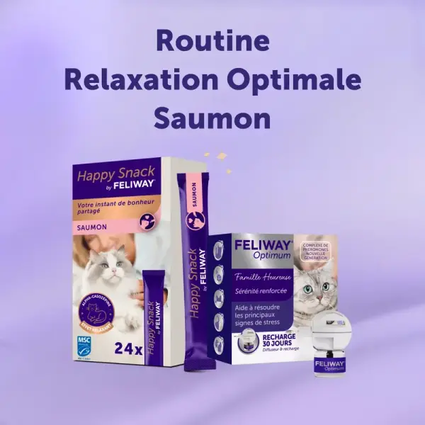 Routine Relaxation Optimale – Saumon x24