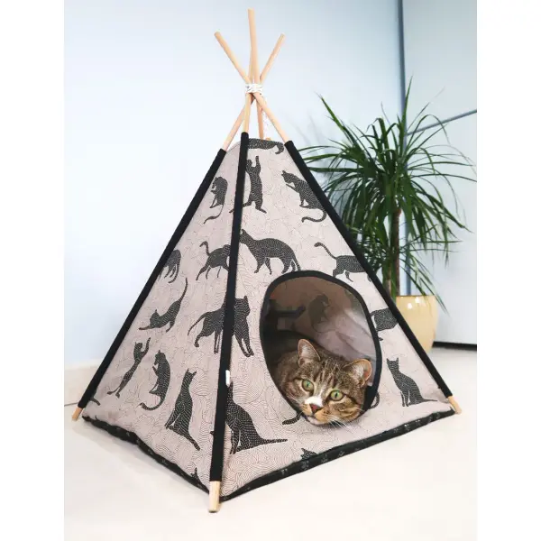 Tipi chats noirs